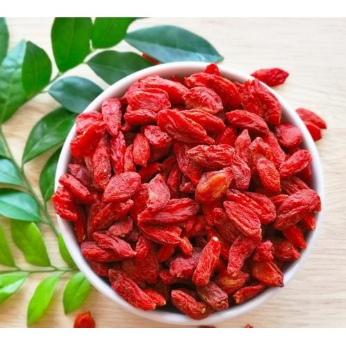 ابازير  توت الذئب  عضوي